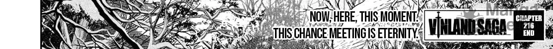 Vinland Saga Chapter 216 page 47 - 