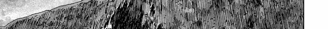Vinland Saga Chapter 219 page 7 - 