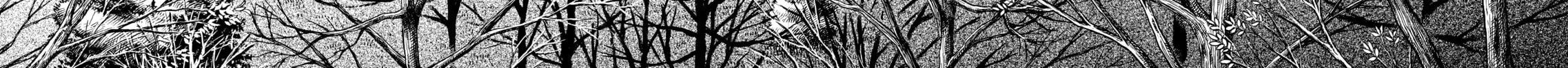 Read Vinland Saga chapter 22 image 3 on Lezhin