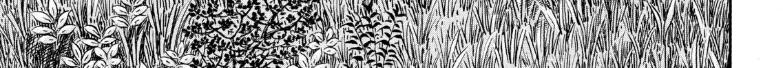 Read Vinland Saga chapter 63 image 1 on Lezhin