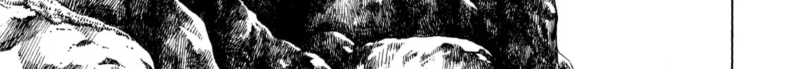 Read Vinland Saga chapter 68 image 1 on Lezhin