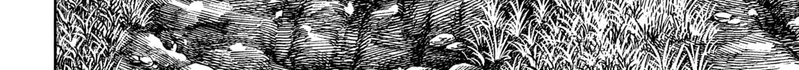 Read Vinland Saga chapter 71 image 61 on Lezhin