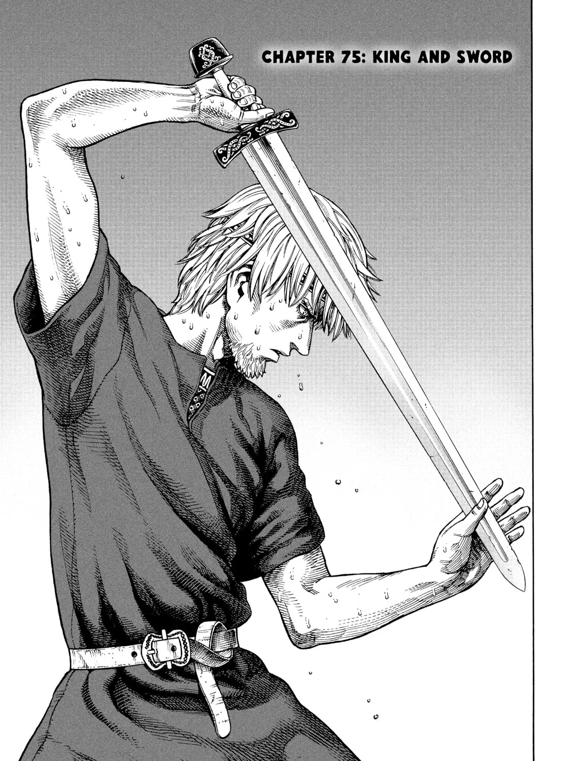 Read Vinland Saga chapter 75 image 0 on Lezhin