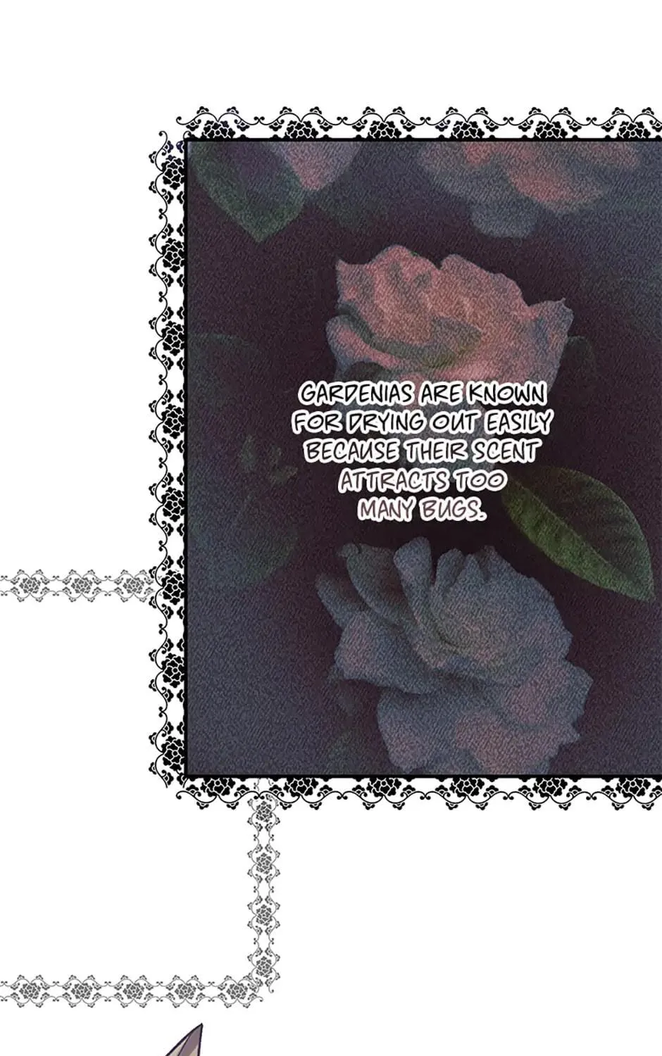 Read Viola Tames the Duke chapter 13 image 68 on Lezhin