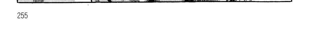 Read Violence Jack chapter 10.2 image 153 on Lezhin