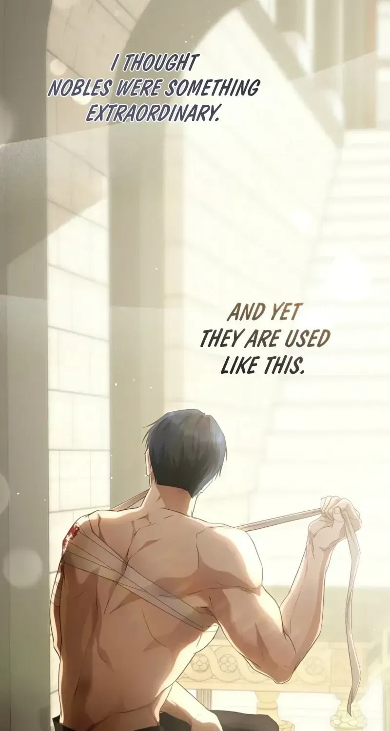 Read Violet Blooming in Patronage chapter 89 image 13 on Lezhin