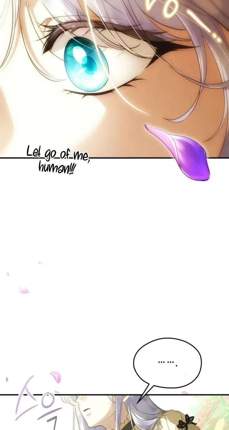 Read Violet Blooming in Patronage chapter 91 image 47 on Lezhin