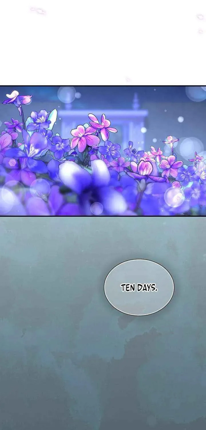 Read Violet Blooming in Patronage chapter 93 image 64 on Lezhin