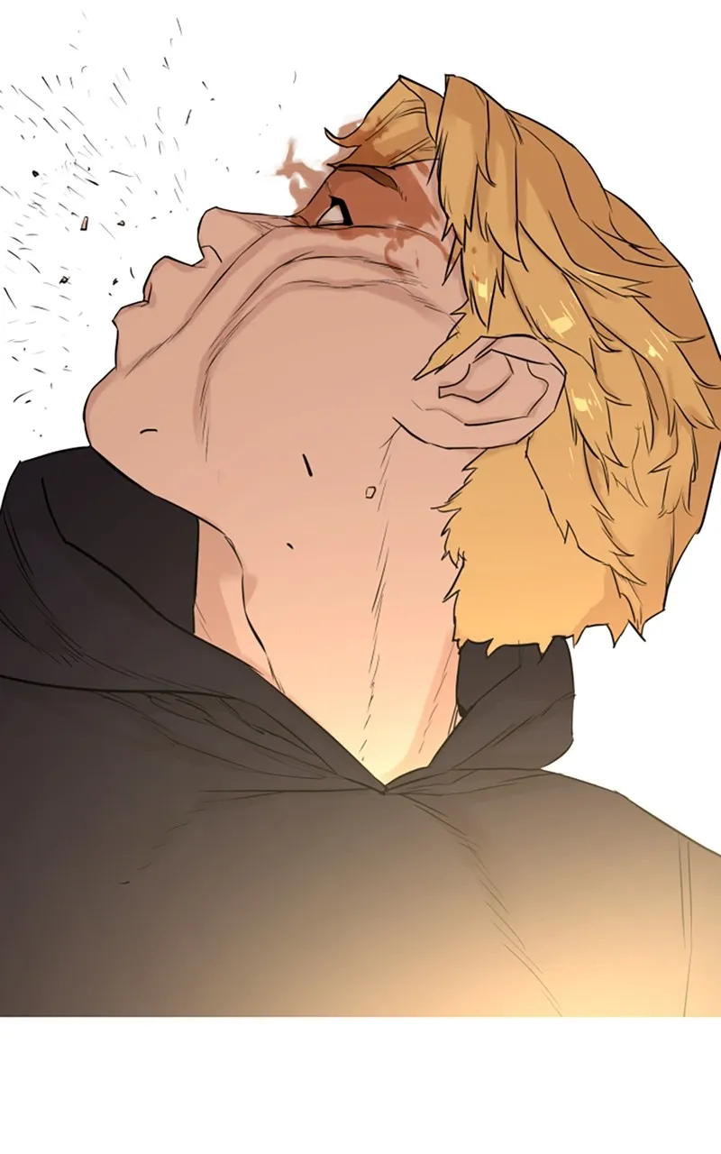 Read Viral Hit chapter 1 image 187 on Lezhin