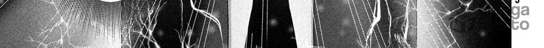 Read Virgin Extinction Island chapter 44 image 53 on Lezhin