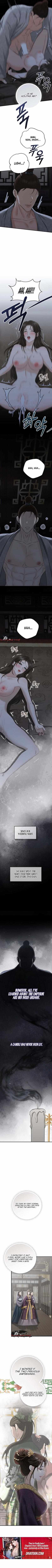 Read Voyeurism chapter 1 image 6 on Lezhin
