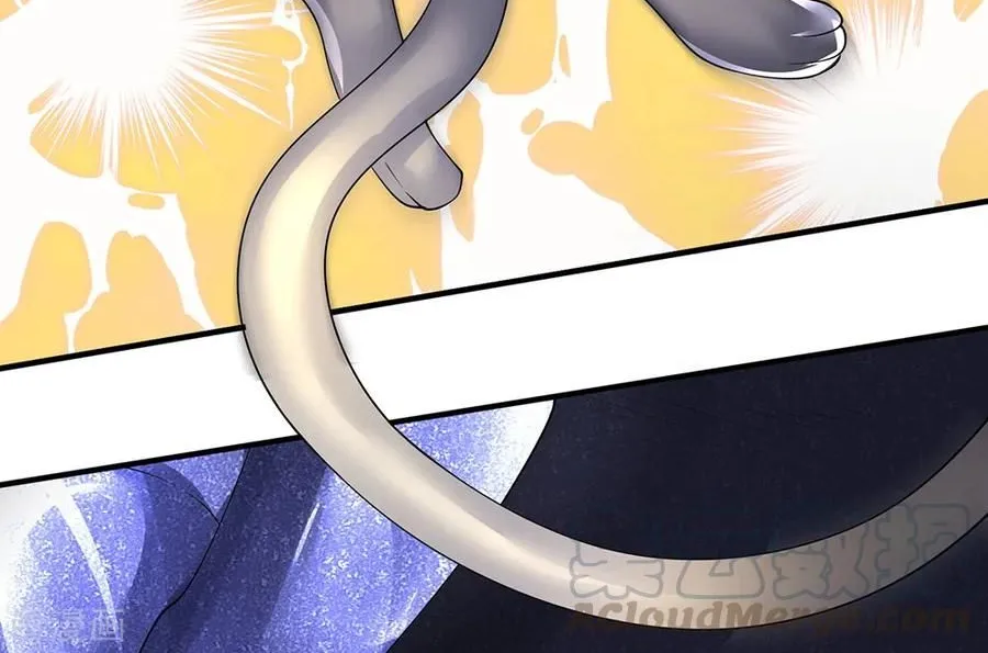 Read Wan Gu Shen Wang chapter 159 image 15 on Lezhin