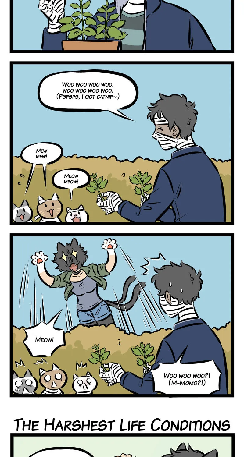 Read Wan Sheng Jie (Colored) chapter 134 image 1 on Lezhin