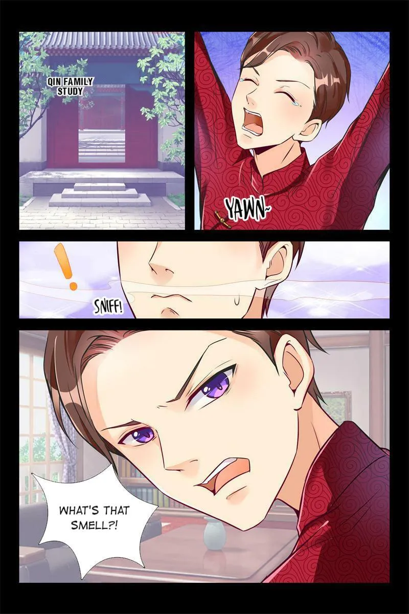 Warlord Hubby: Ruling Your World Chapter 7 page 5 - 