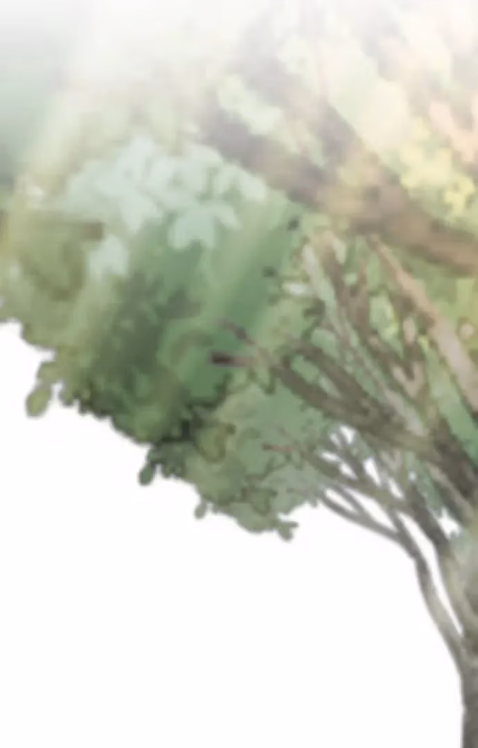 Read Warm Black Tea chapter 35 image 114 on Lezhin