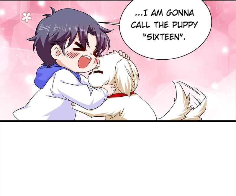 Warm Wedding Chapter 368 page 14 - 