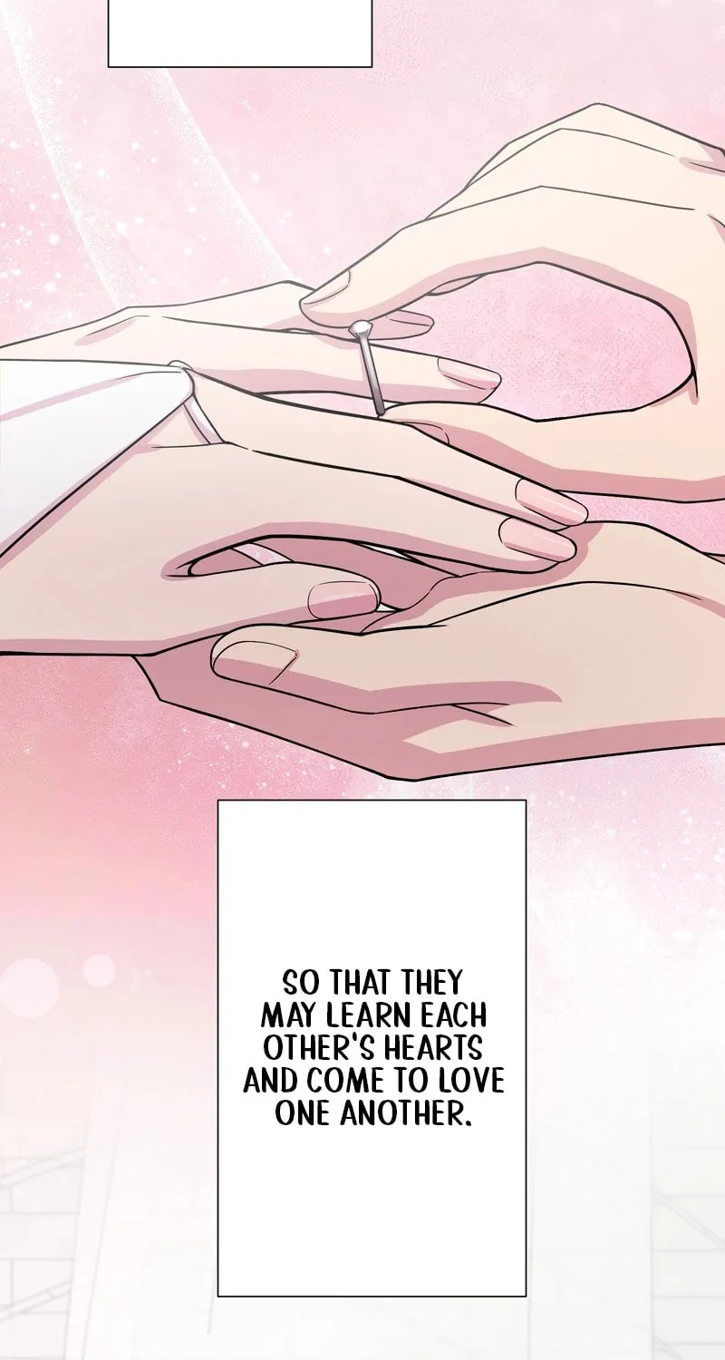 Read We Are Absolutely Not Getting Divorced! chapter 1 image 5 on Lezhin