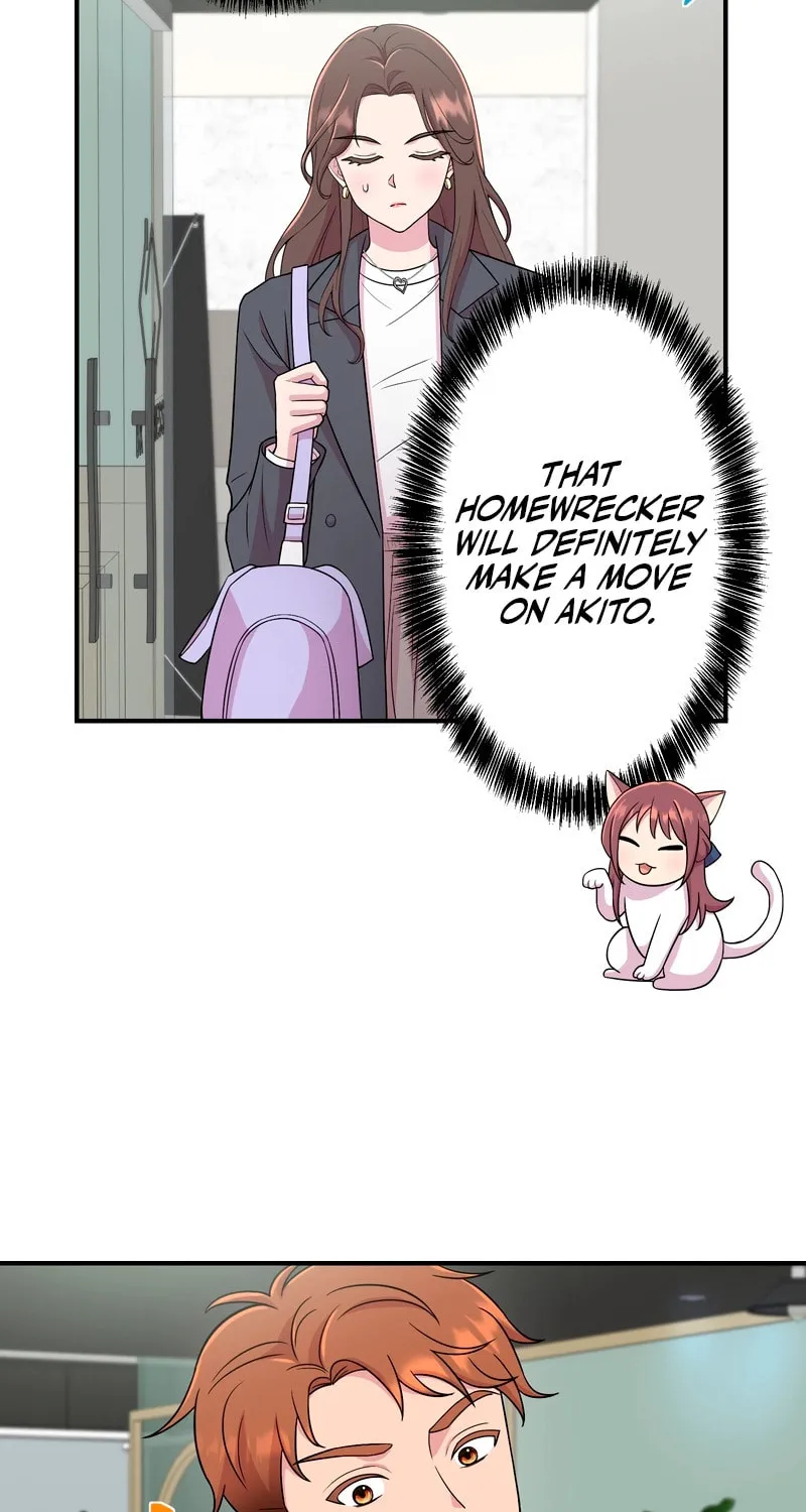 Read We Are Absolutely Not Getting Divorced! chapter 6 image 71 on Lezhin