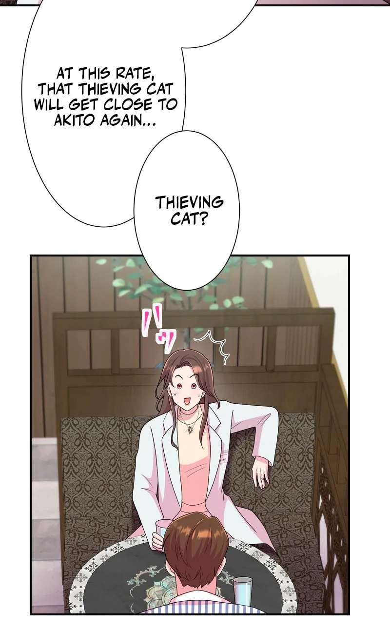 Read We Are Absolutely Not Getting Divorced! chapter 8 image 8 on Lezhin