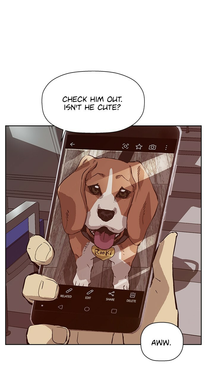 Read Weak Hero chapter 137 image 64 on Lezhin