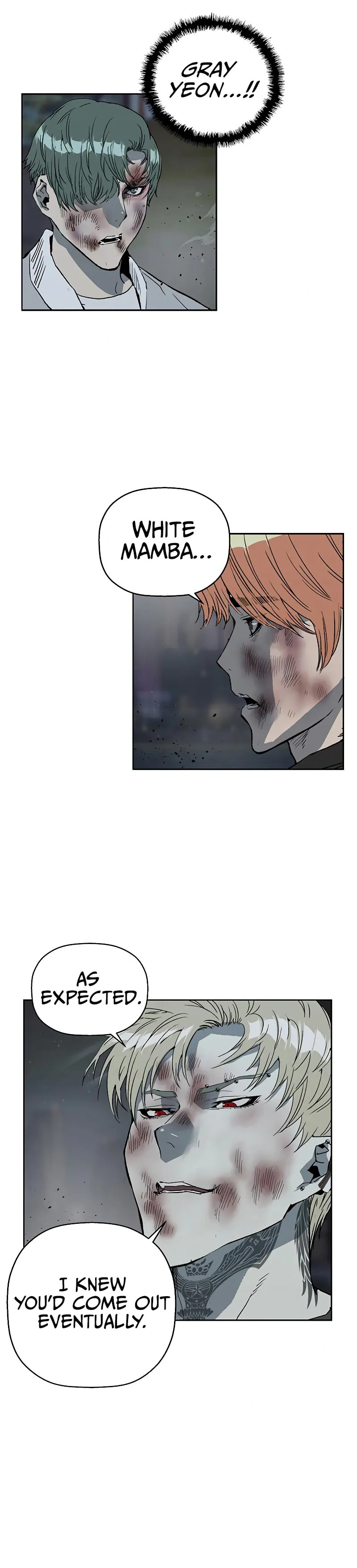 Read Weak Hero chapter 249 image 11 on Lezhin