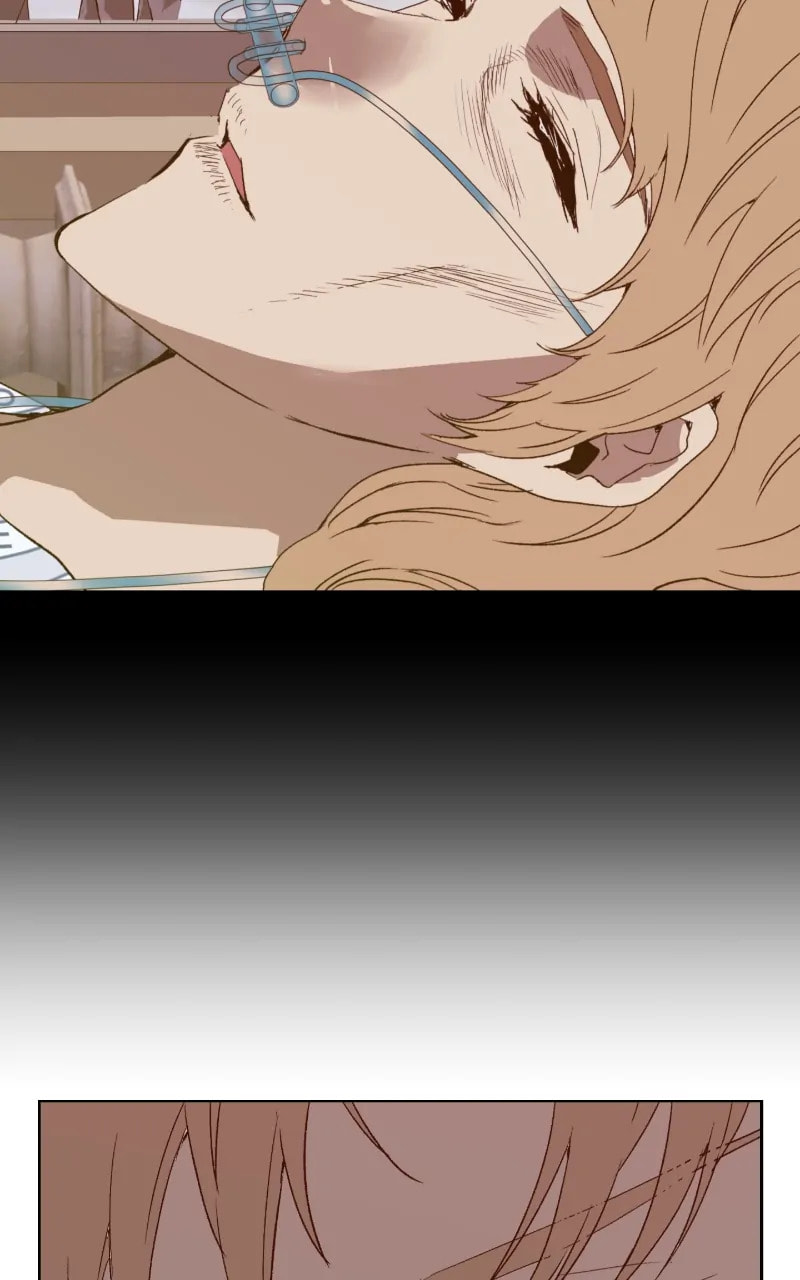 Read Weak Hero chapter 389 image 170 on Lezhin