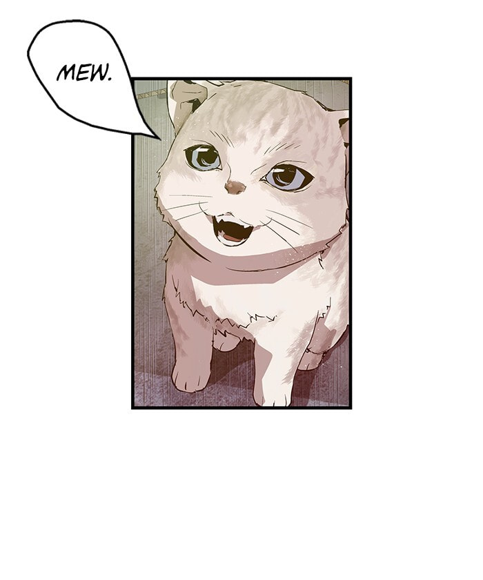 Read Weak Hero chapter 49 image 34 on Lezhin