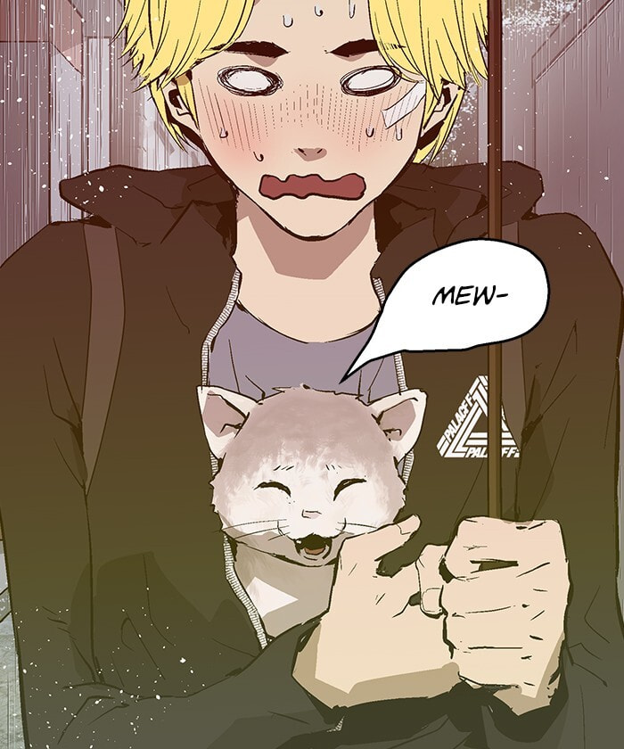 Read Weak Hero chapter 49 image 42 on Lezhin