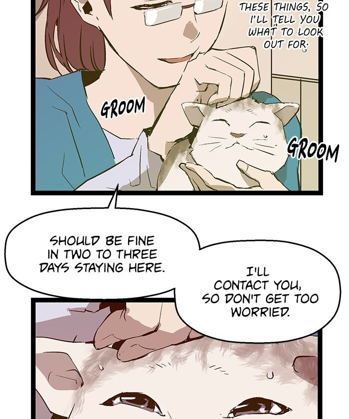 Read Weak Hero chapter 51 image 9 on Lezhin
