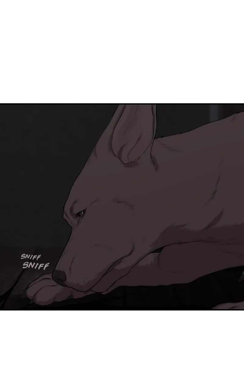 Read WEBTOON at Midnight chapter 19 image 73 on Lezhin