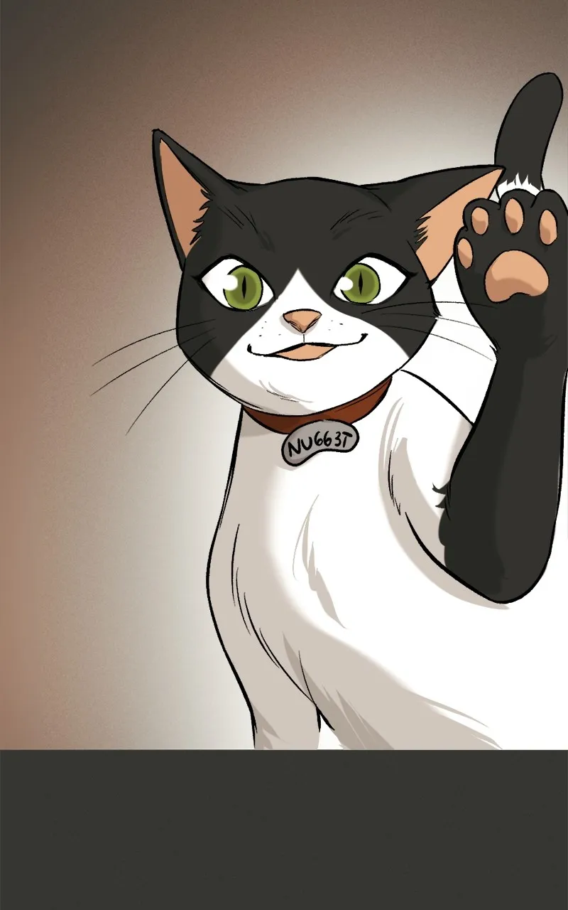 Read WEBTOON at Midnight chapter 3 image 11 on Lezhin