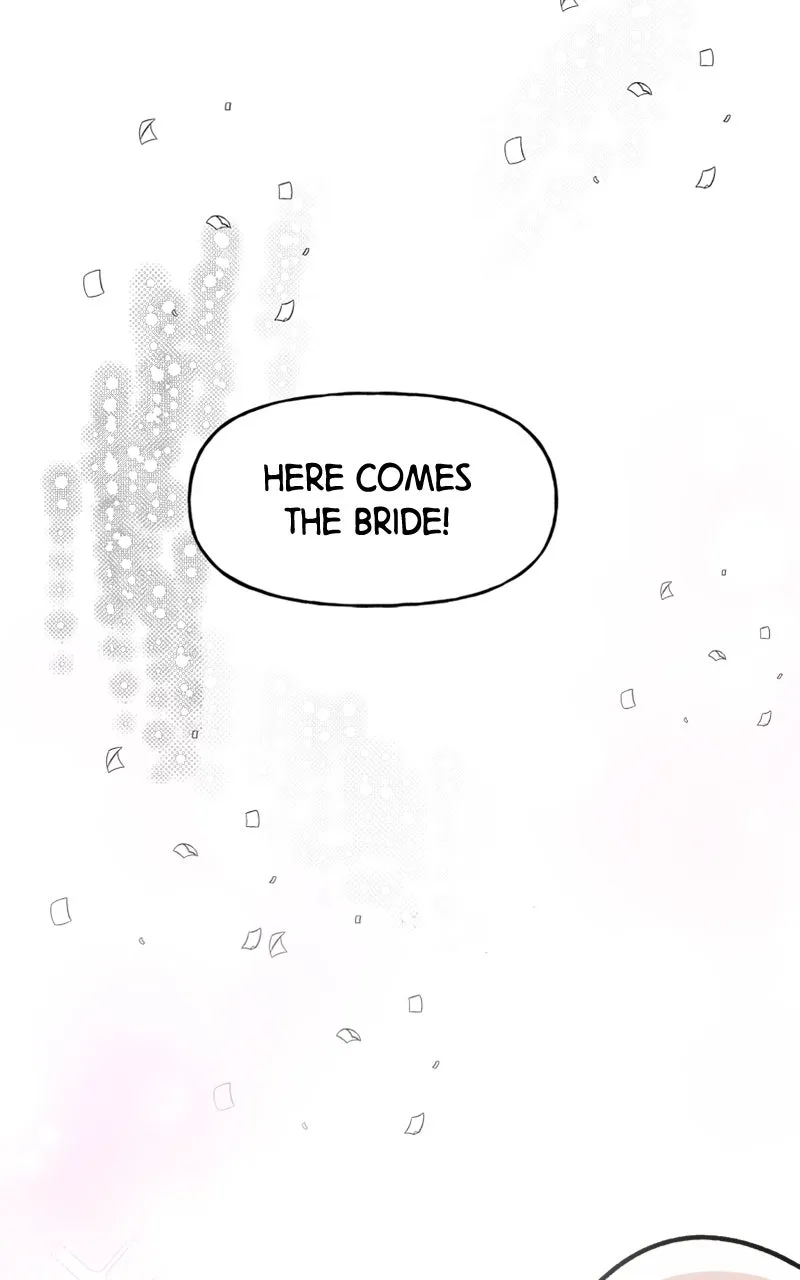 Read Wedding Strategy chapter 1 image 3 on Lezhin