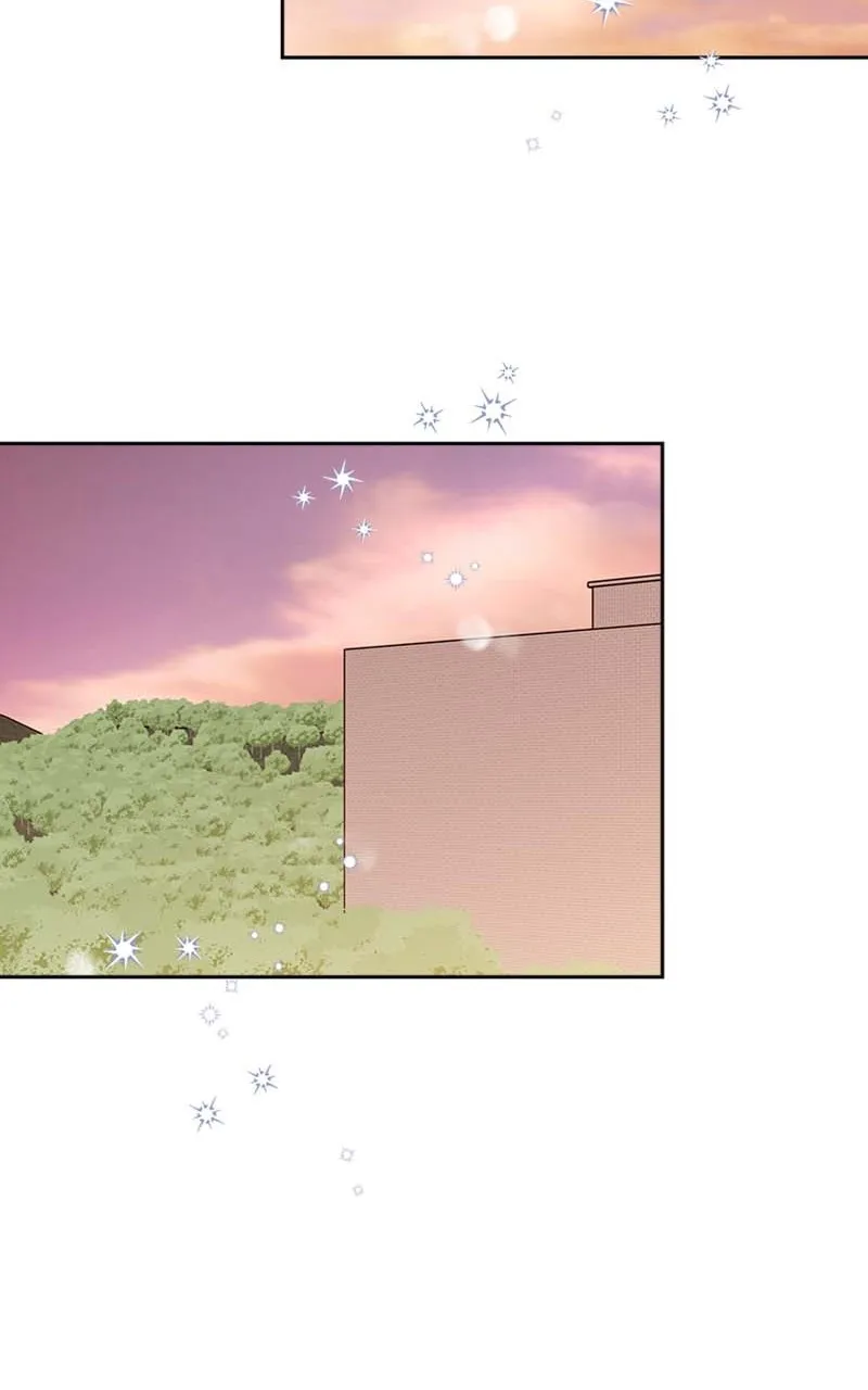 Read Wedding Strategy chapter 21 image 75 on Lezhin