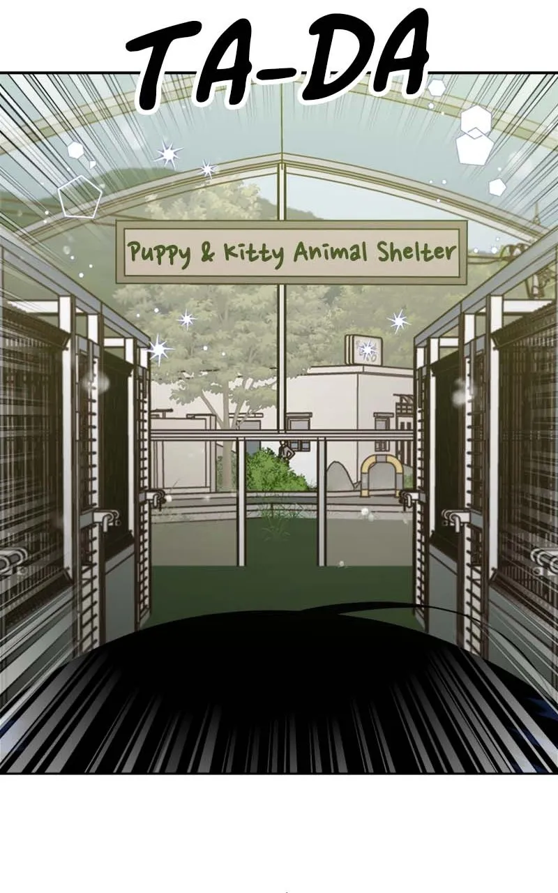 Read Wedding Strategy chapter 27 image 66 on Lezhin