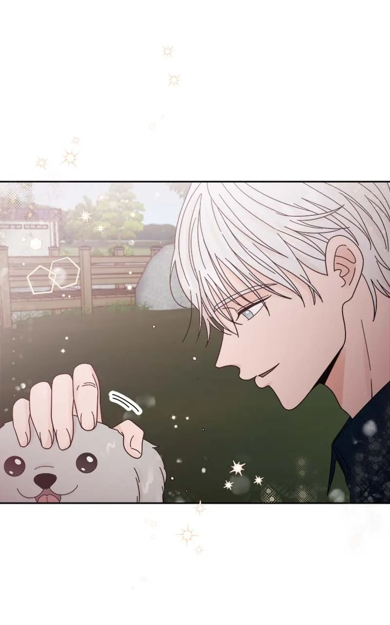 Read Wedding Strategy chapter 27 image 83 on Lezhin