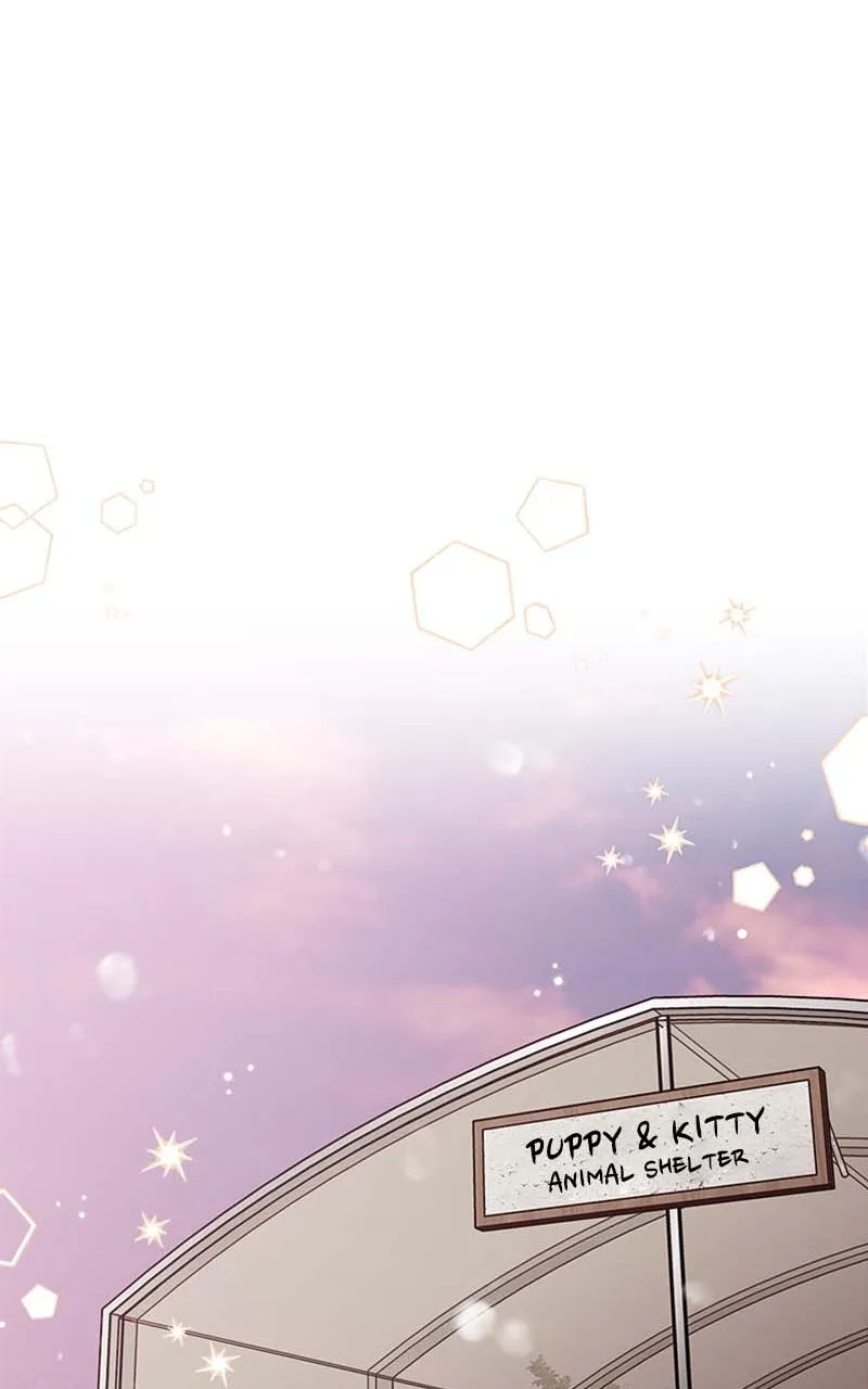 Read Wedding Strategy chapter 28 image 82 on Lezhin
