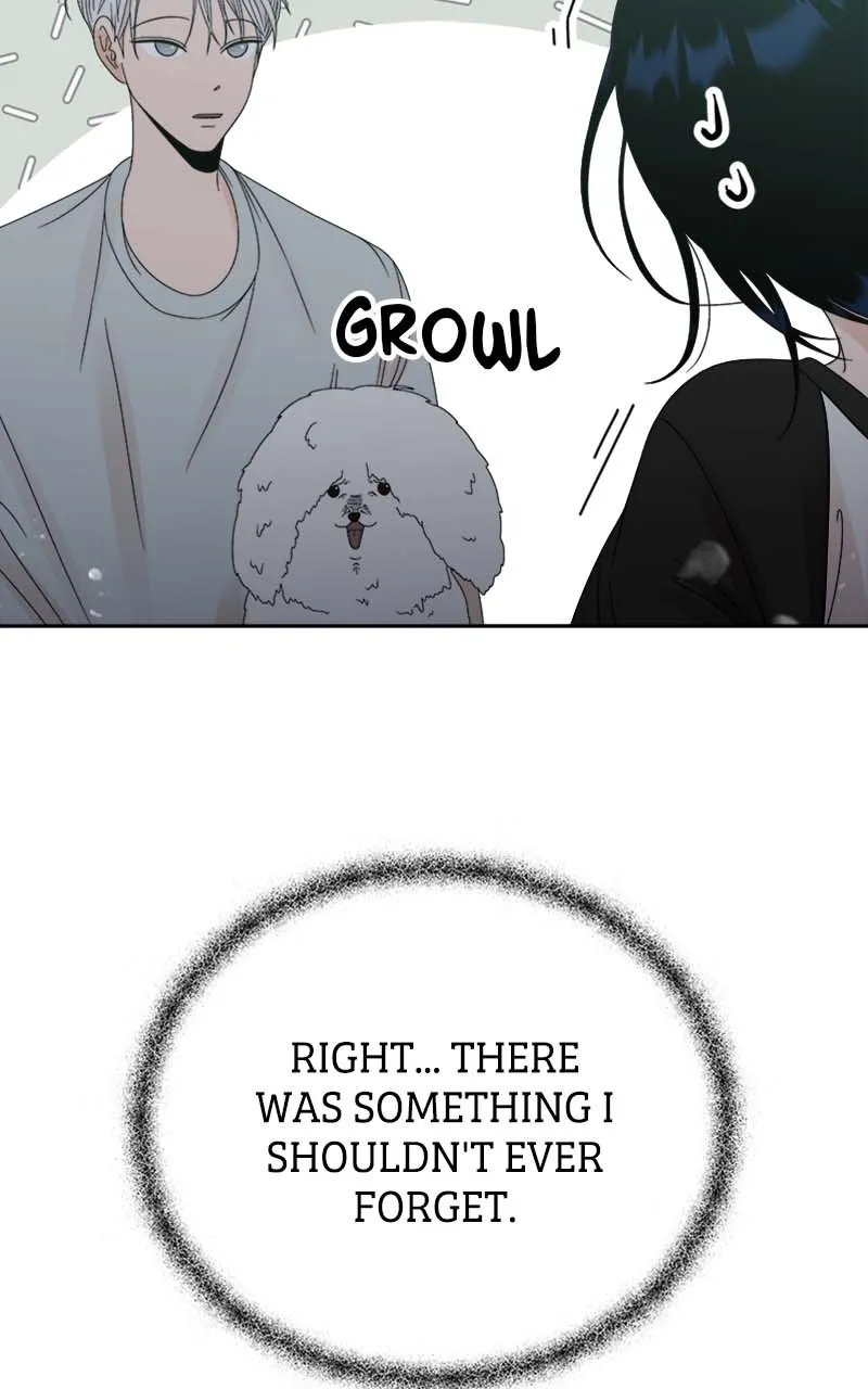 Read Wedding Strategy chapter 48 image 25 on Lezhin