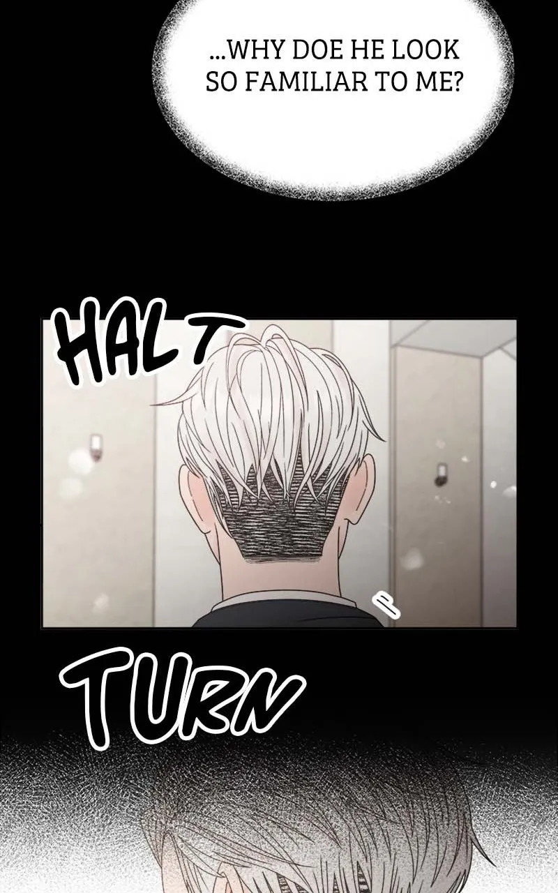 Read Wedding Strategy chapter 49 image 51 on Lezhin