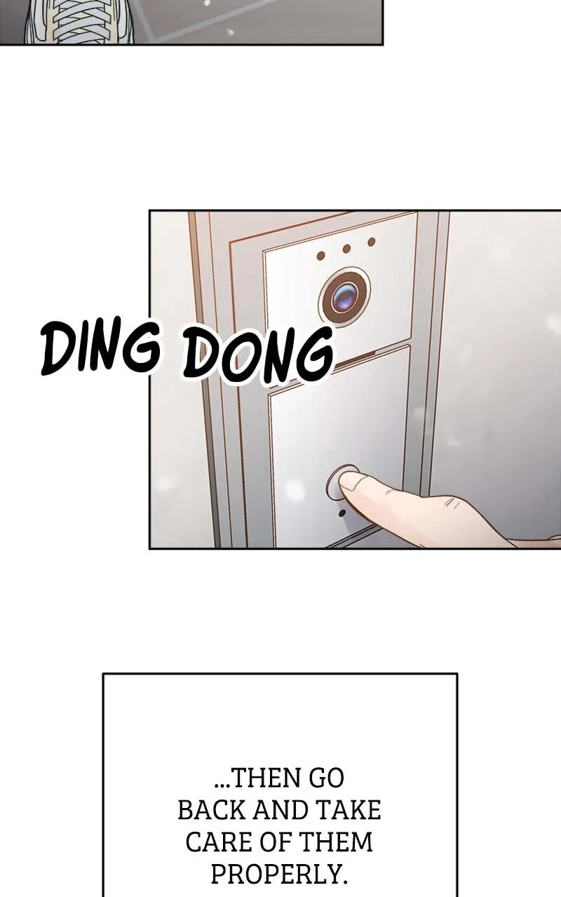Read Wedding Strategy chapter 55 image 42 on Lezhin