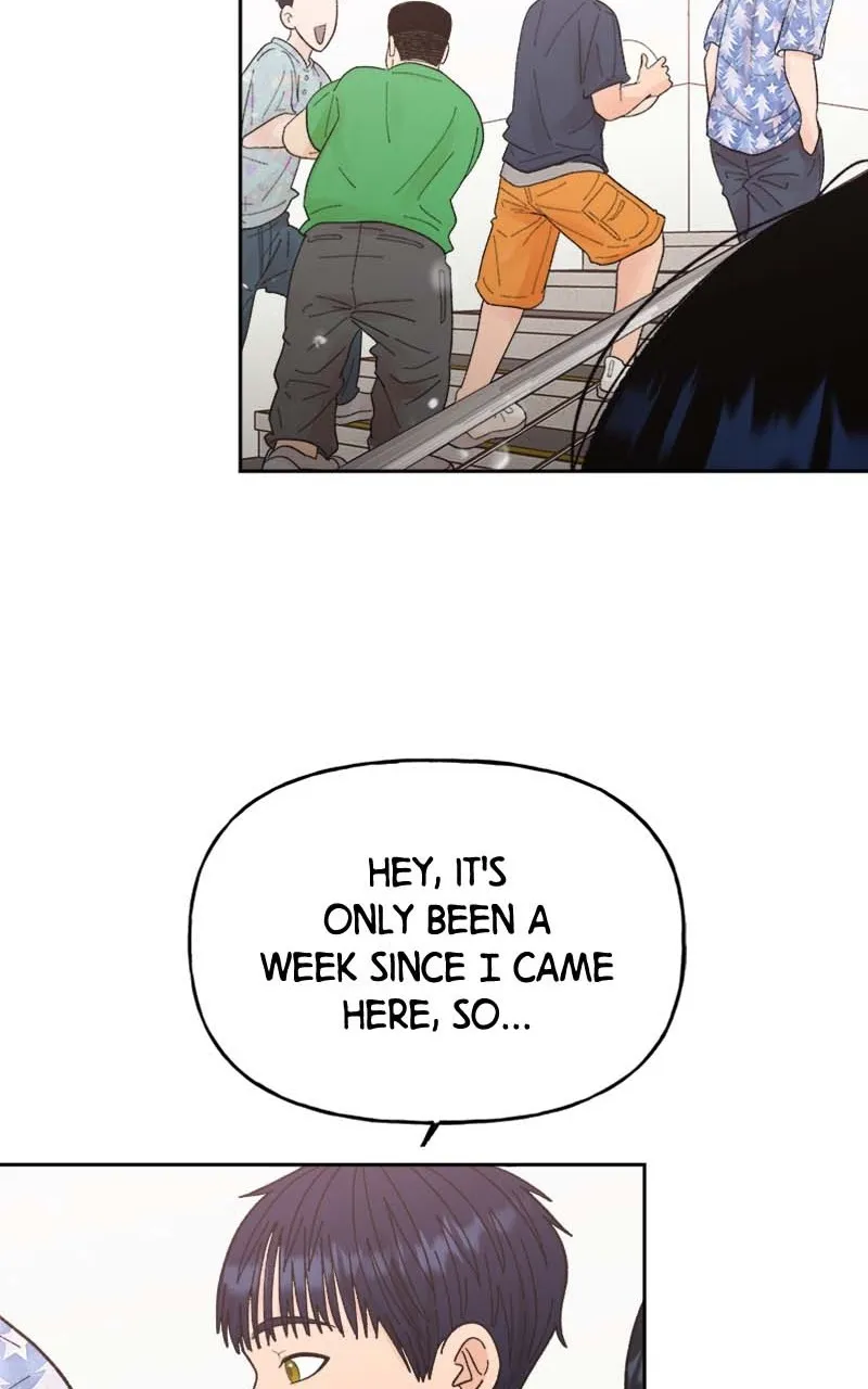 Read Wedding Strategy chapter 62 image 33 on Lezhin