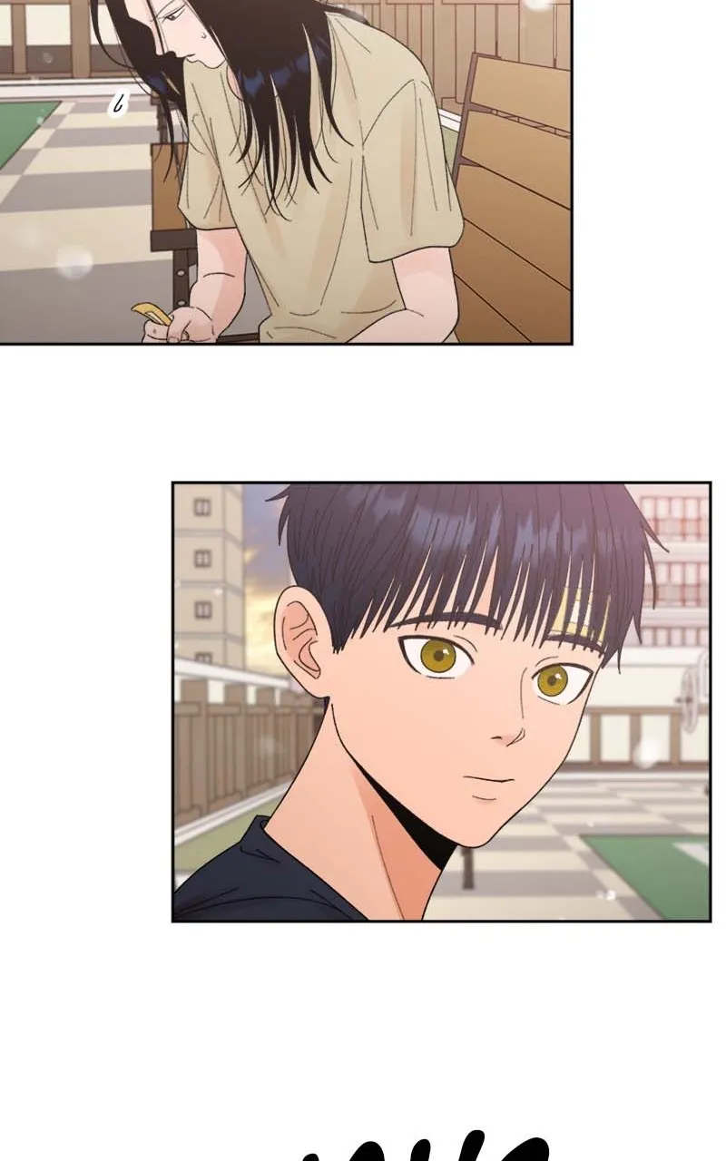 Read Wedding Strategy chapter 63 image 11 on Lezhin