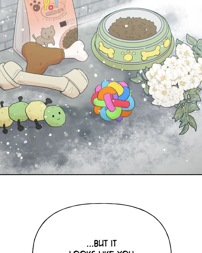 Read Wedding Strategy chapter 78 image 28 on Lezhin