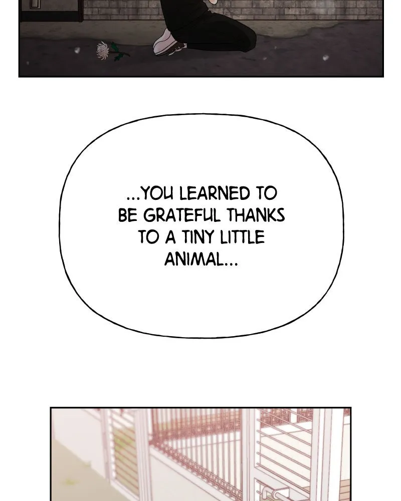 Read Wedding Strategy chapter 78 image 51 on Lezhin