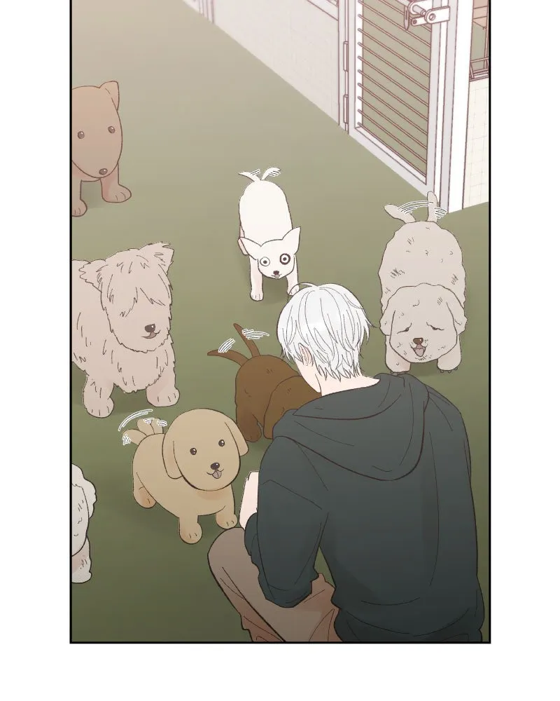Read Wedding Strategy chapter 78 image 52 on Lezhin