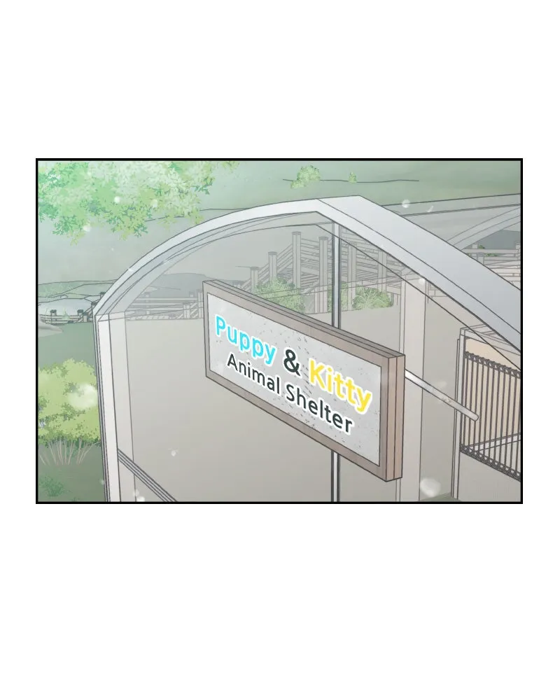 Read Wedding Strategy chapter 78 image 7 on Lezhin
