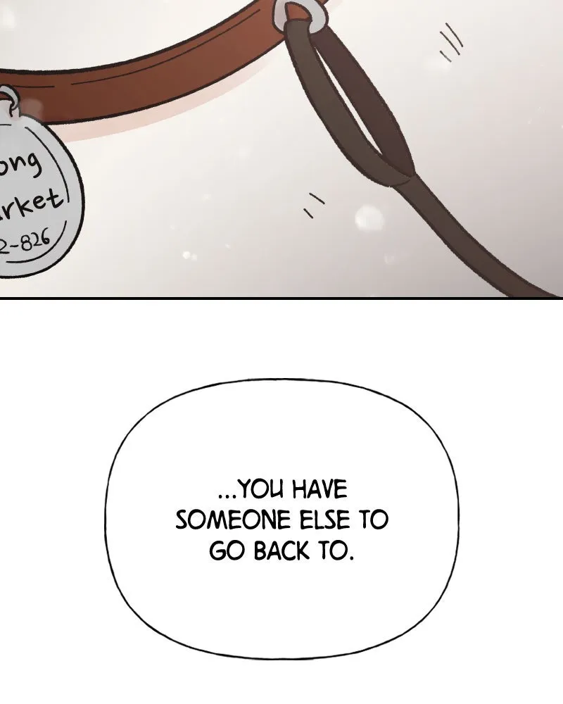 Read Wedding Strategy chapter 78 image 73 on Lezhin