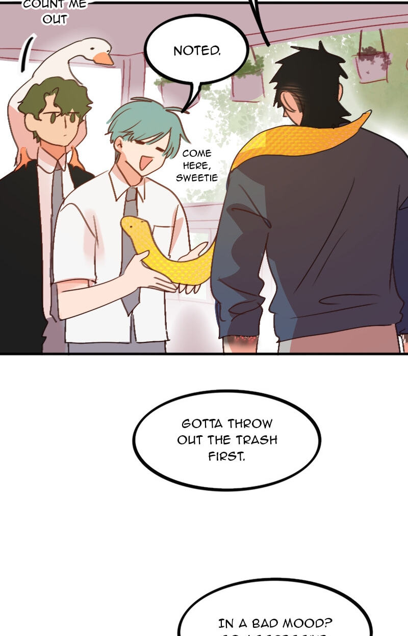 WEE!!! Chapter 243 page 5 - 
