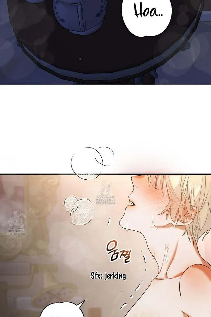 Westermarck Effect Chapter 1 page 101 - 