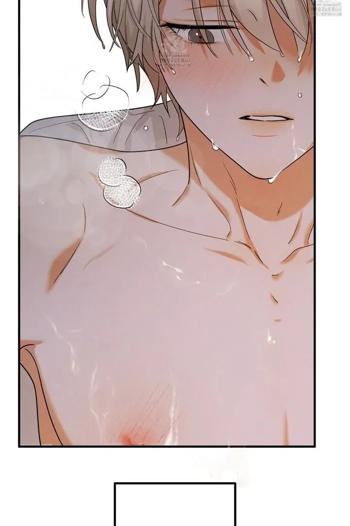 Westermarck Effect Chapter 1 page 107 - 
