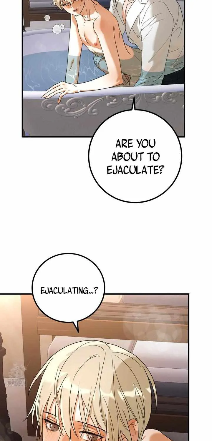 Westermarck Effect Chapter 2 page 27 - 